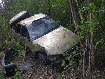 Під Луцьком автівка зробила «сальто» і злетіла в кущі. ФОТО