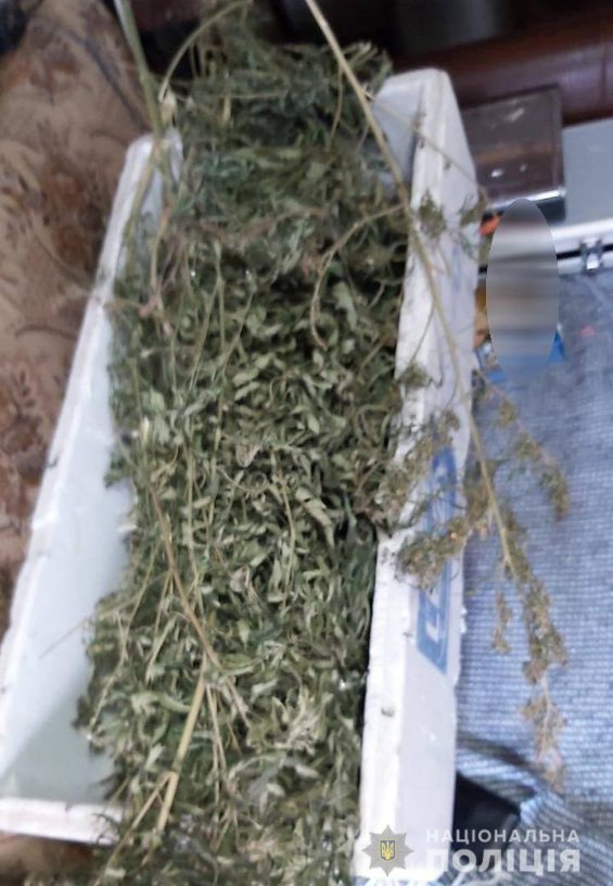 «Закладки», шприци, таблетки: на Волині правоохоронці «накрили» наркобізнес. ФОТО