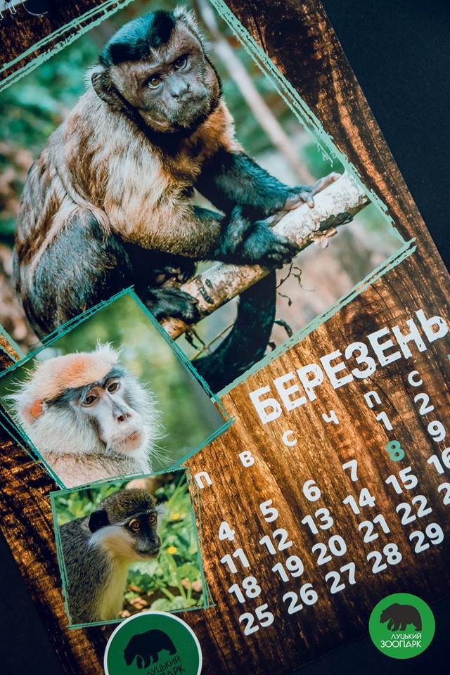 Зубаті і хвостаті: випустили календар з мешканцями луцького зоопарку. ФОТО