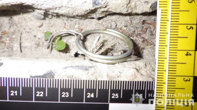 На Волині чоловік підірвав гранату на подвір'ї у сусіда: постраждало подружжя