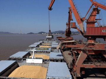 Пів мільйона тонн українського зерна вкрали російські окупанти, – Мінагрополітики