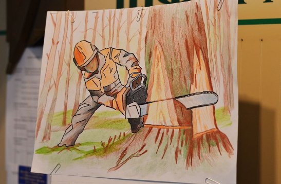 «Щоб керувати, потрібно знати»: директорів волинських лісгоспів готують до іспитів з охорони праці