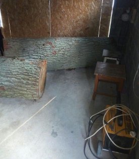 На Волині лісівники знайшли крадену деревину. ФОТО