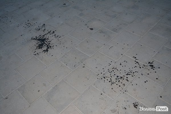 «Брудні» наслідки смолоскипної ходи у Луцьку. ФОТО