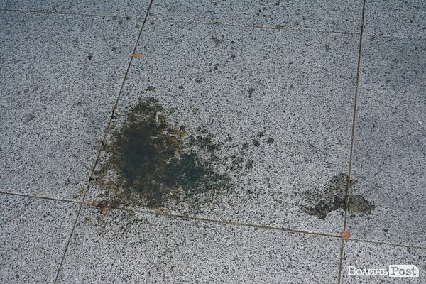 «Брудні» наслідки смолоскипної ходи у Луцьку. ФОТО