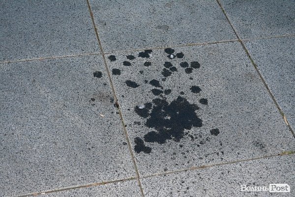 «Брудні» наслідки смолоскипної ходи у Луцьку. ФОТО