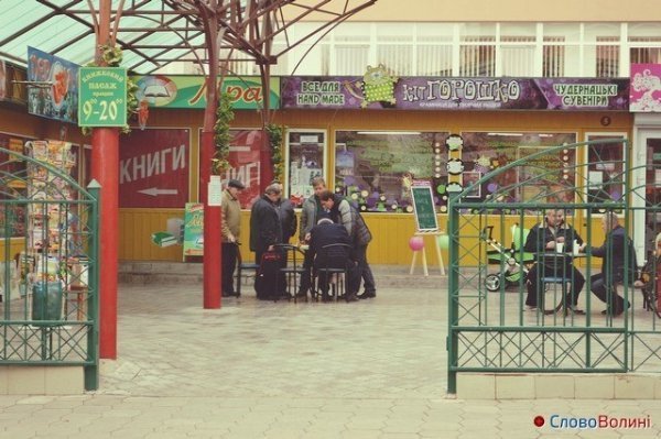 Голуби Луцька. ФОТО