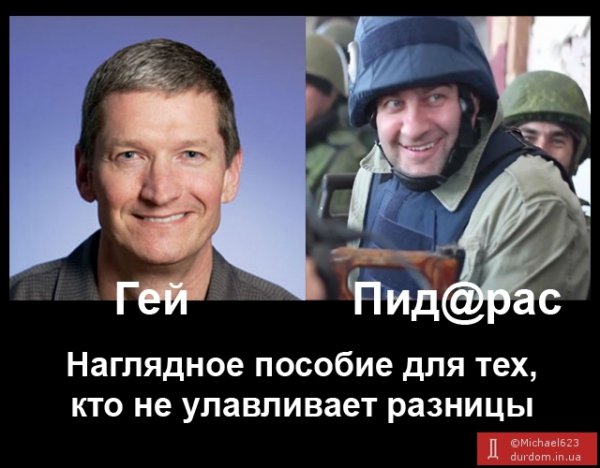 Пореченков з гвинтівкою, Кобзон в ДНР і Найєм про зарплату нардепа. ФОТОЖАБИ