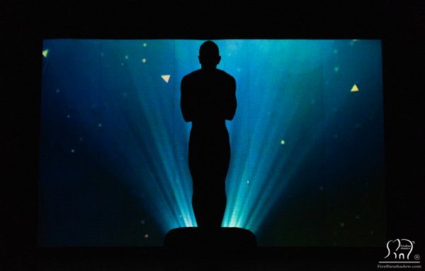 На день Валентина в Луцьку виступить театр тіней «Fireflies» 