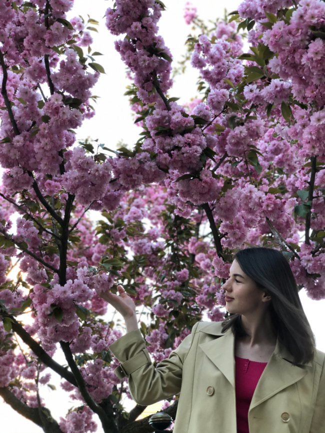 Де у Луцьку сфотографуватися у сакурах. ЛОКАЦІЇ