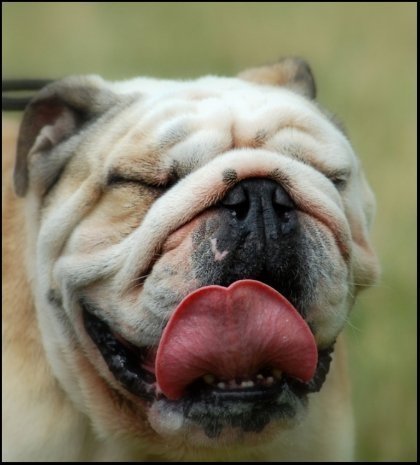 Фотовиставка Павла Березюка