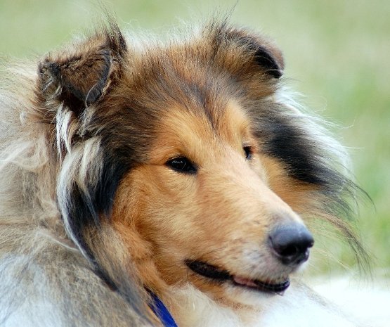 Фотовиставка Павла Березюка