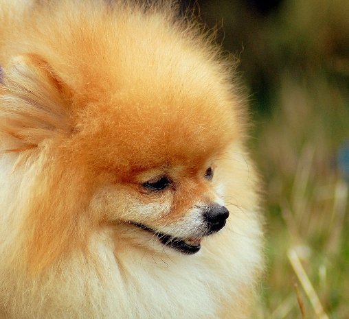 Фотовиставка Павла Березюка