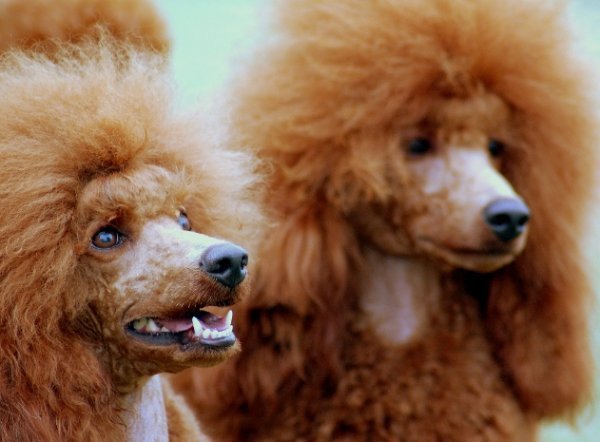 Фотовиставка Павла Березюка