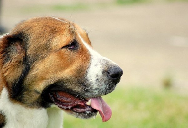 Фотовиставка Павла Березюка