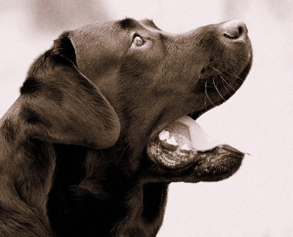 Фотовиставка Павла Березюка