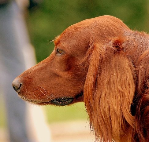 Фотовиставка Павла Березюка