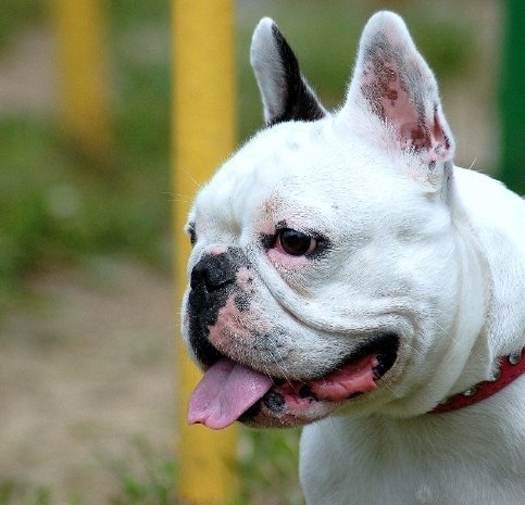 Фотовиставка Павла Березюка