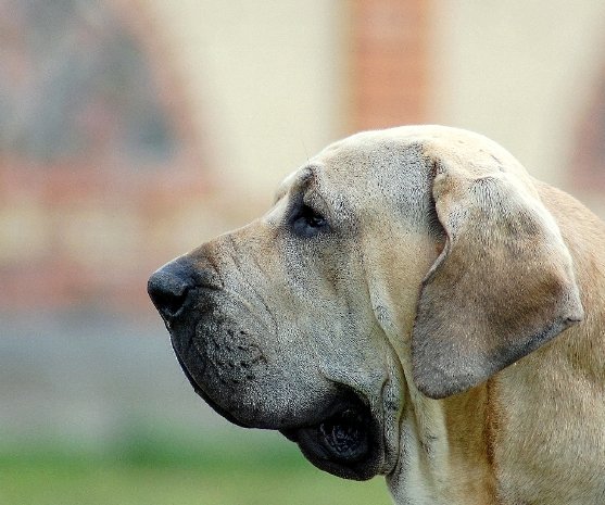 Фотовиставка Павла Березюка