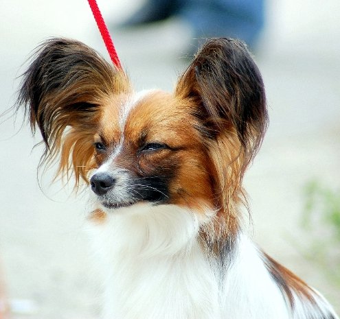 Фотовиставка Павла Березюка