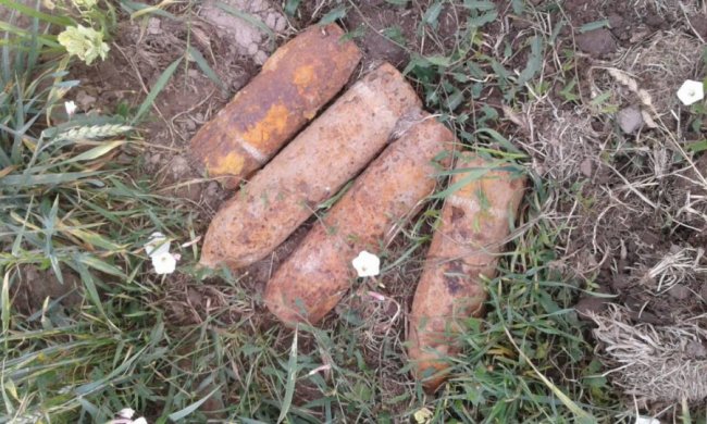 Волиняни в полі знайшли боєприпаси