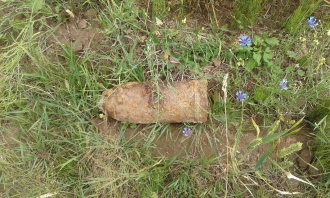 Волиняни в полі знайшли боєприпаси