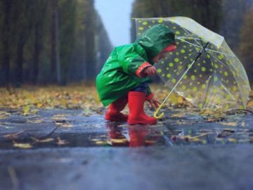 Погода в Луцьку та Волинській області на четвер, 20 серпня