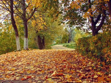 Погода в Луцьку та Волинській області на завтра, 4 листопада