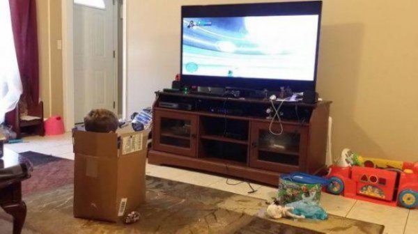 Діти, які не робили «це». ФОТО