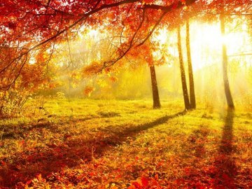 19 вересня: яке сьогодні свято і що не можна робити