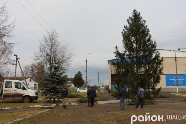 Показали, якою буде головна ялинка Шацька