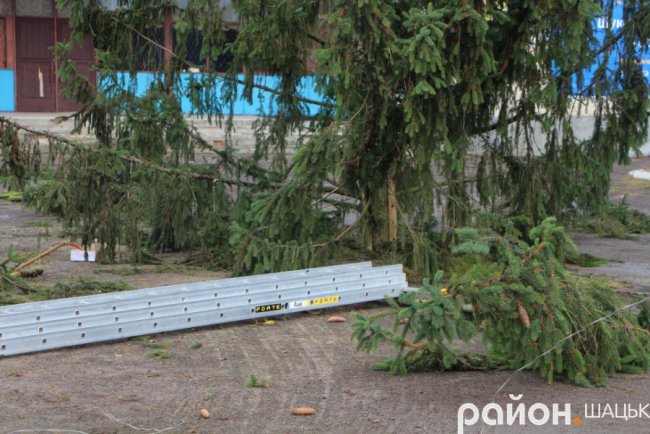 Показали, якою буде головна ялинка Шацька