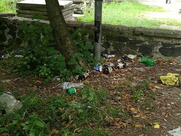 «Розруха не в клозетах, а в головах», - лучанин про сміття у парку