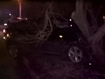 У Луцьку BMW в'їхало в дерево