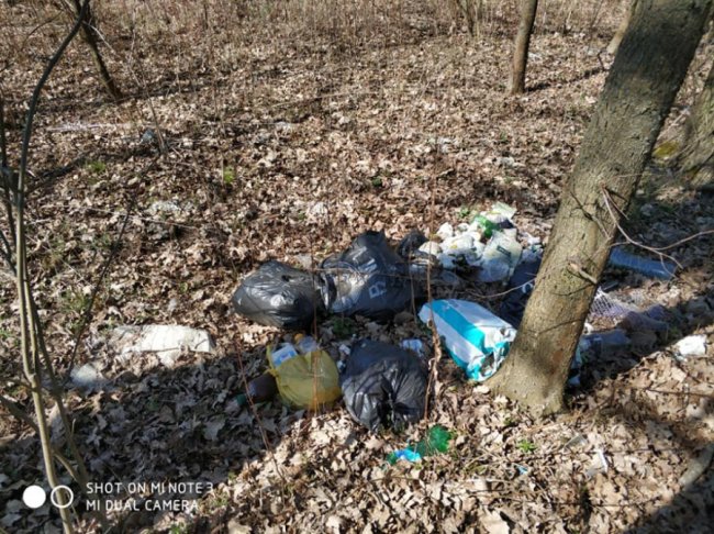 «Який вірус вразив голови людей?»: волиняни влаштували стихійне сміттєзвалище у лісі. ФОТО