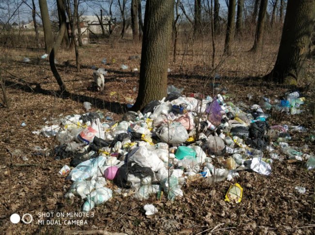 «Який вірус вразив голови людей?»: волиняни влаштували стихійне сміттєзвалище у лісі. ФОТО