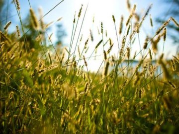 26 червня – яке сьогодні свято та що категорично не можна робити в цей день