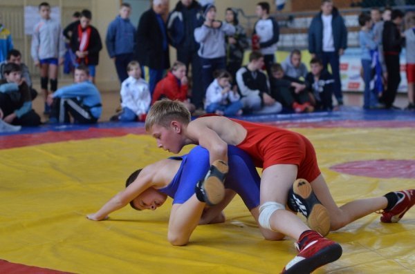 На Волині відбувся турнір з вільної боротьби. ФОТО