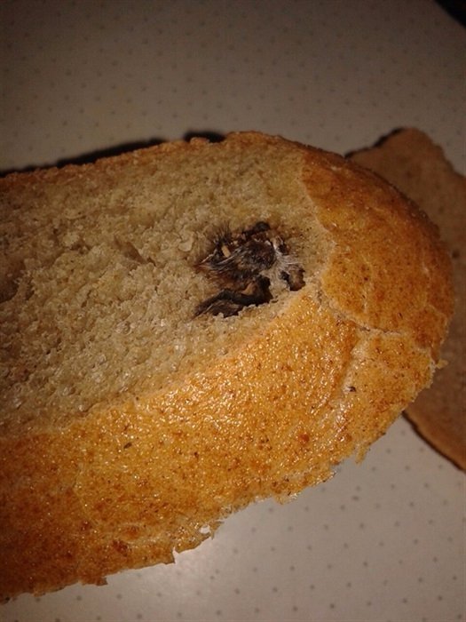 У Ковелі придбали хліб із головою миші. ФОТО