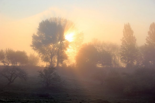 Простори та краєвиди Хрінницького водосховища. ФОТО