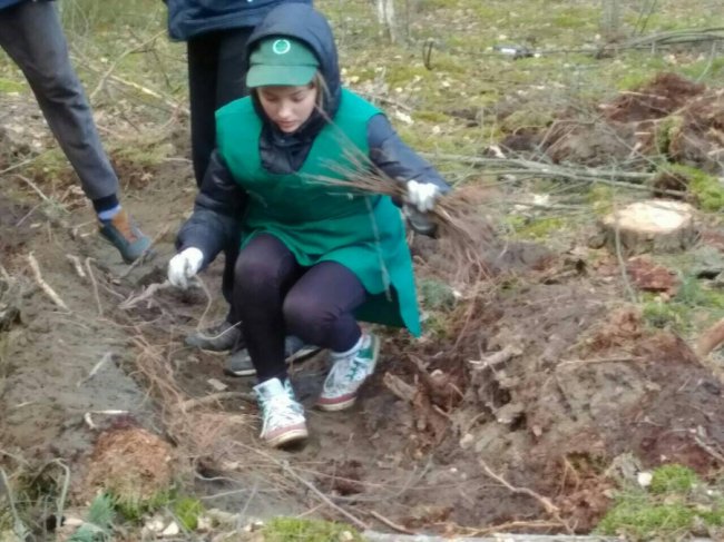 Волинські школярі висадили майже гектар лісу. ФОТО