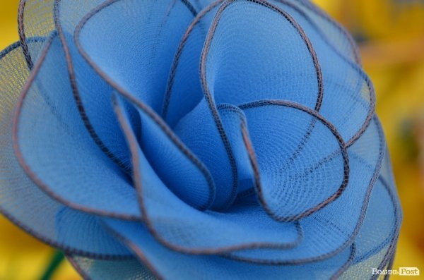 У центрі Луцька – виставка талантів зі всієї області. ФОТО 