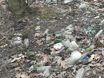 Біля дитячого табору під Луцьком – стихійне сміттєзвалище. ФОТО