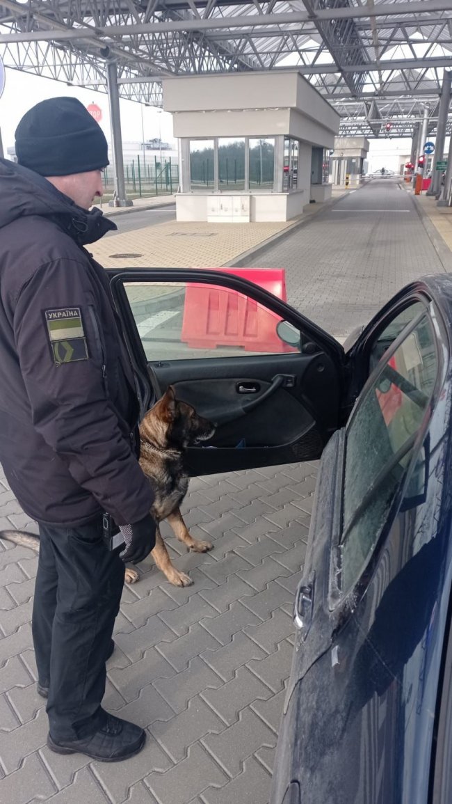 На волинському кордоні пес винюхав наркотики у кишені куртки водія 