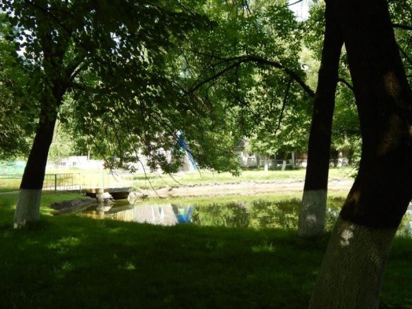 Луцький зоопарк відпочиває. ФОТО