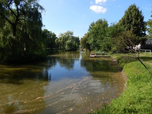 Луцький зоопарк відпочиває. ФОТО