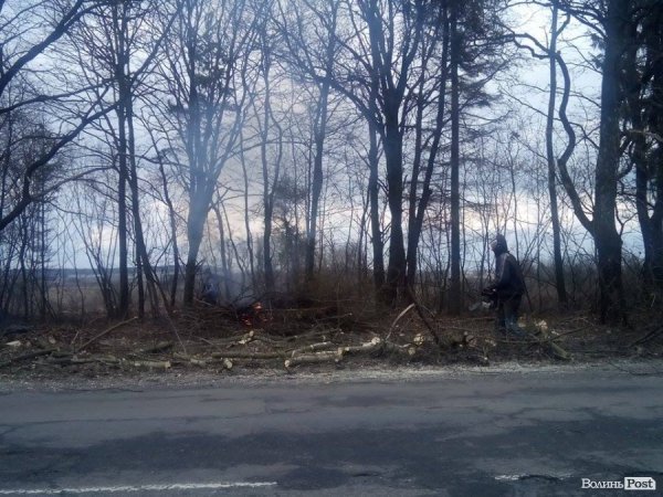 Хто палить гілля на трасі «Луцьк-Володимир-Волинський». ФОТО