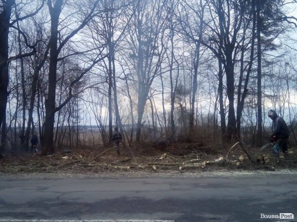 Хто палить гілля на трасі «Луцьк-Володимир-Волинський». ФОТО