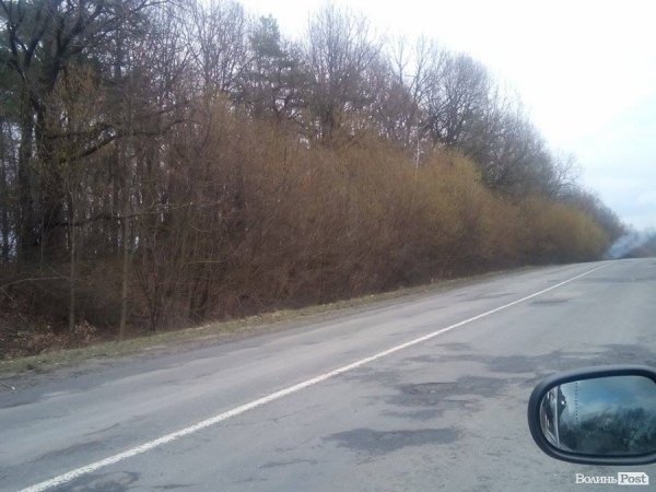Хто палить гілля на трасі «Луцьк-Володимир-Волинський». ФОТО