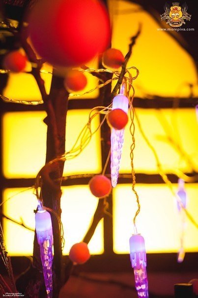 Вечір «цікавих проектів» у луцькому клубі. ФОТО